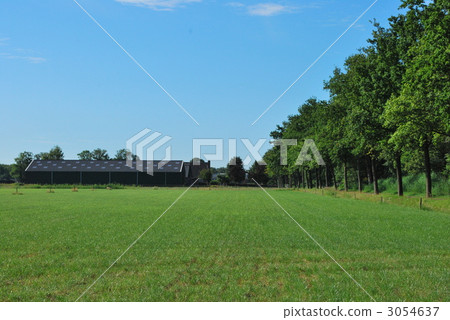 荷蘭風景 3054637