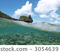珊瑚 珊瑚礁 海底的 3054639