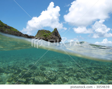 珊瑚 珊瑚礁 海底的 3054639