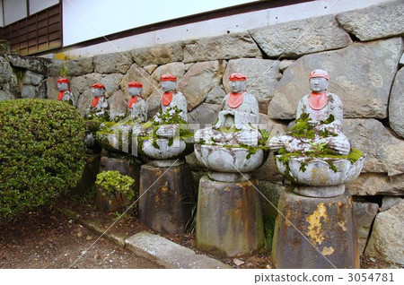 The lotus of Ozumiji The lotus of Ozumiji 3054781