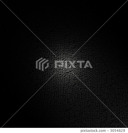 皮革製品 皮革 人體皮膚 3054829