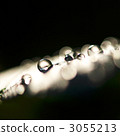 drop, drip, dew drop 3055213