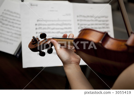 stringed instrument, stringed instruments, violin 3055419