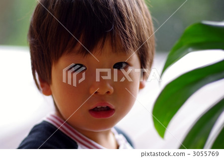 Houseplants and children 3055769