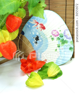 Summer noodle and fan fan white space Vertical position 3055972