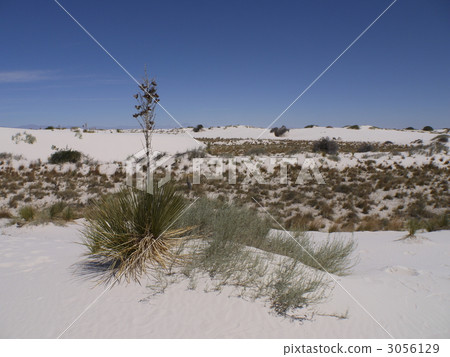 White Sands White Sands 3056129