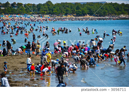 海邊狩獵（沖繩公園/金澤區，神奈川縣橫濱市） 3056711