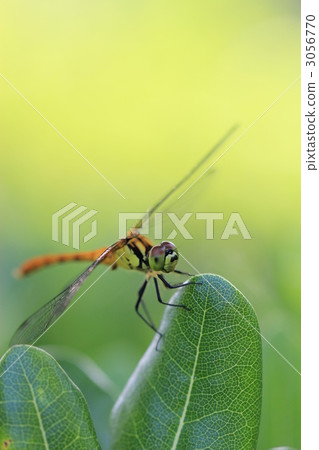 裁剪標記 3056770