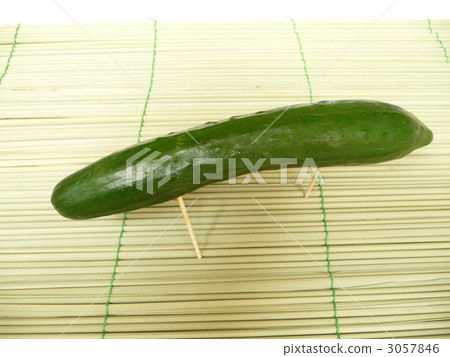 Bon cucumber horses 3057846