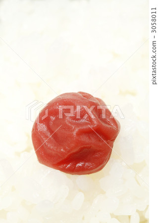 Rice and Umeboshi 3058011