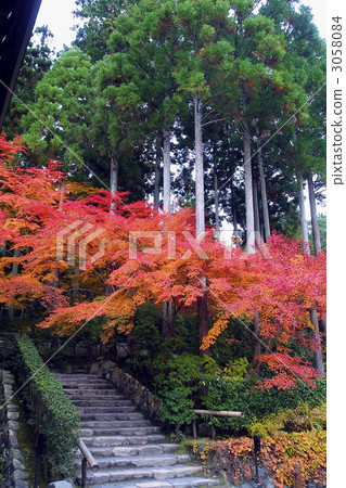 21348京都大原秋葉 21348京都大原秋葉 3058084