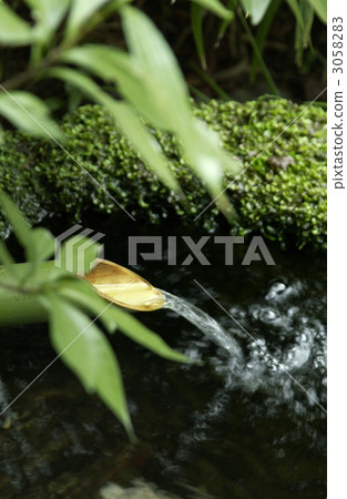 水 外部 花園嚇唬小鳥的裝置 3058283