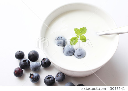 Blueberry and Caspian Sea Yogurt Blueberry and Caspian Sea Yogurt 3058341