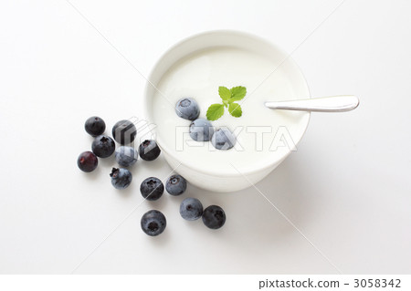 Blueberry and Caspian Sea Yogurt 3058342