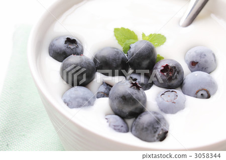 Blueberry and Caspian Sea Yogurt 3058344