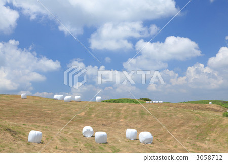 草卷 草卷 3058712