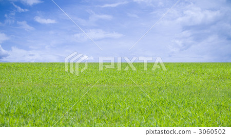 Vast prairie 3060502