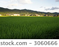 農村場景 鄉村風光 3060666