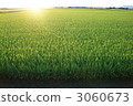 農村場景 鄉村風光 3060673