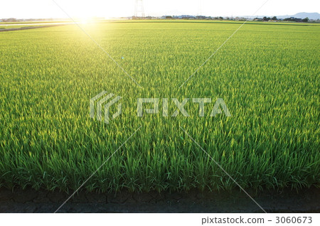 農村場景 鄉村風光 3060673