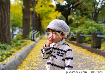 銀杏樹和孩子們 銀杏樹和孩子們 3060920