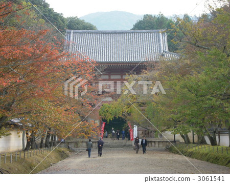 Daigoji gates of Daigoji 3061541