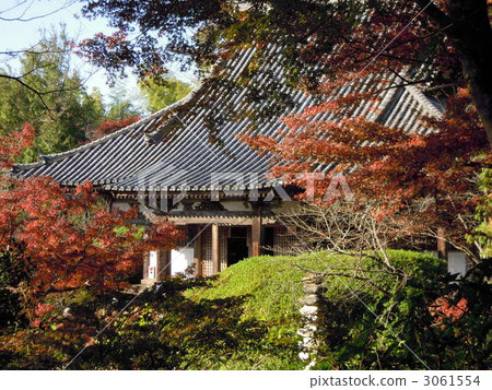 ChoTakeshitera 3061554