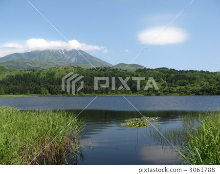 Rishiri and Otatomari swamp 3061788