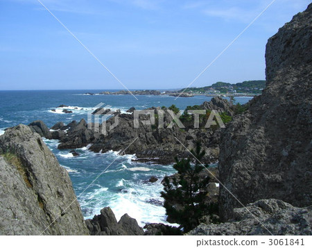 Hachinohe Species Coast 3061841