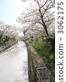 Cherry blossoms in the Yukariyagawa 3062175
