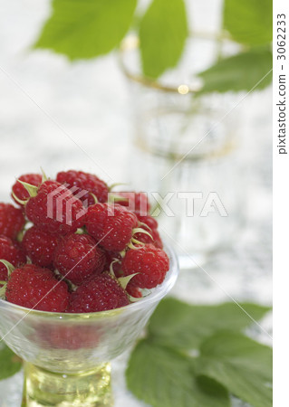 raspberry 3062233