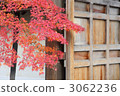 京都Niseorin秋葉 3062236