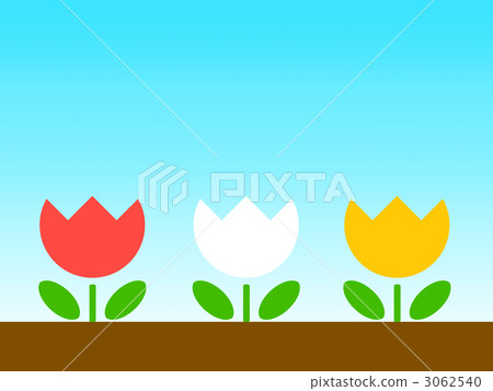 一排鬱金香 3062540