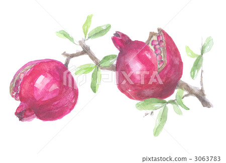 Two with gravel branch Two with gravel branch 3063783