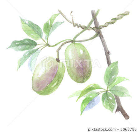 2 pieces with a mustard branch 3063795
