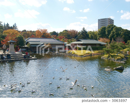 池塘和鳥類在天鵝花園 3063897