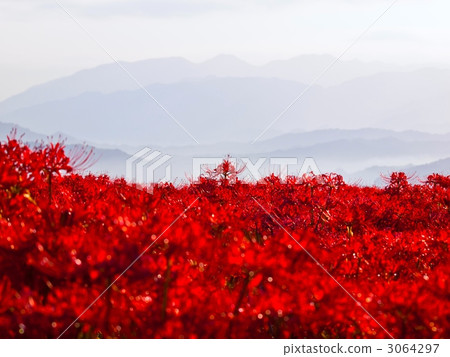 Higanki的海洋 3064297