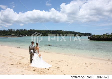 wedding dress, bridal couple, bride and groom 3064671