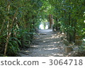secondary row of trees, tree-lined road, path 3064718