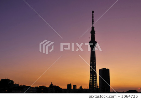 天空樹-1 天空樹-1 3064726