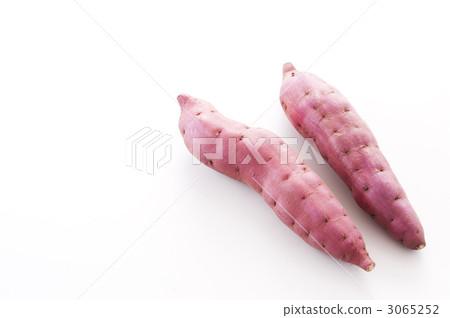 Sweet potato 3065252