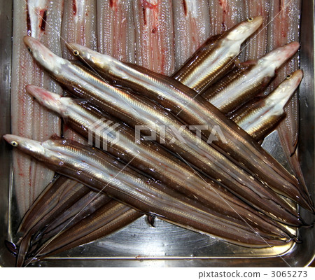 Opening of anago 3065273