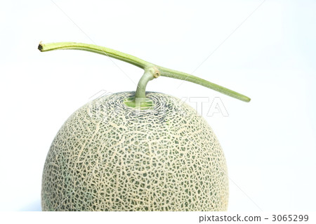 Earl's melon 3065299
