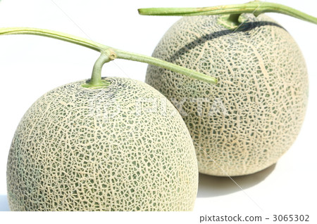 Earl's melon 3065302