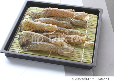 Sako在瀨戶內海 3065312