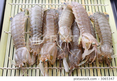 Sako in the Seto Inland Sea Sako in the Seto Inland Sea 3065347