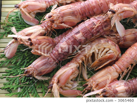 Shako沸騰了 3065460