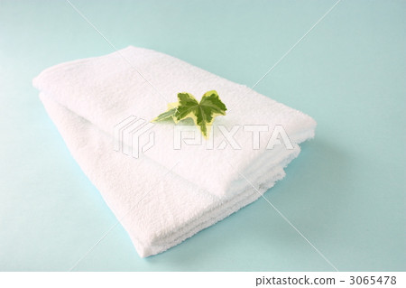 毛巾 3065478