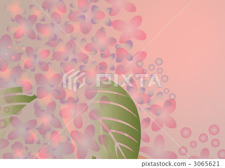 丁香花 日式 日式圖案 3065621