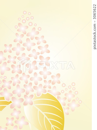 丁香花 花朵 花 3065622